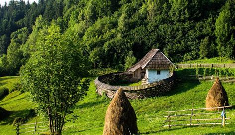 profi sangeorz bai|PROFI Sângeorz